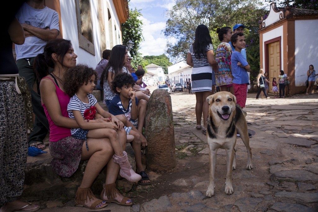 Até o cachorro parou para ver a saída do bloco Cortejo da Arte - Foto: Leo Lemos/Universo Produção/Divulgação