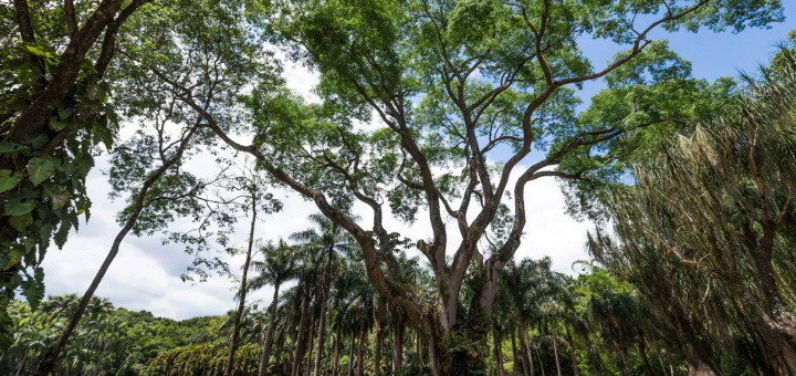 Tamboril em Inhotim - Foto: João Marcos Rosa/Nitro/Divulgação - Blog do Arcanjo