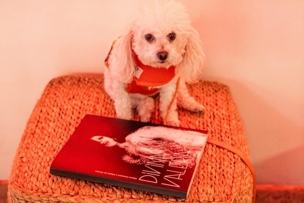 A cachorrinha de Lalá Laurenti também foi ao lançamento da biografia de Divina Valéria escrita com Os Albertos na SP Escola de Teatro - Foto: Edson Lopes Jr. - Blog do Arcanjo